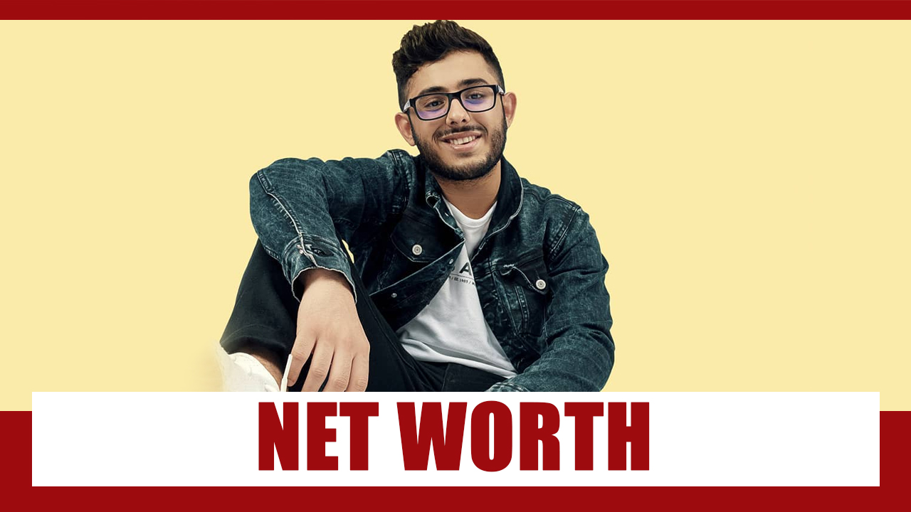 indian youtuber carryminati net worth