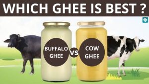 Read more about the article Cow Ghee vs Buffalo Ghee: Which is Healthier and Beneficial