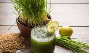 Read more about the article Wheatgrass Juice Benefits, Uses, Nutrition, Side Effect