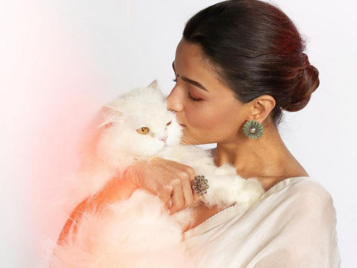 alia-bhatt-cat-gangubai