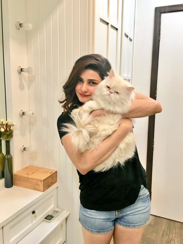 prachi desai cat lover