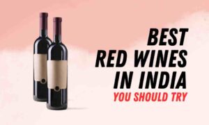 Read more about the article Top 10 Best Red Wines in India With Price in 2024