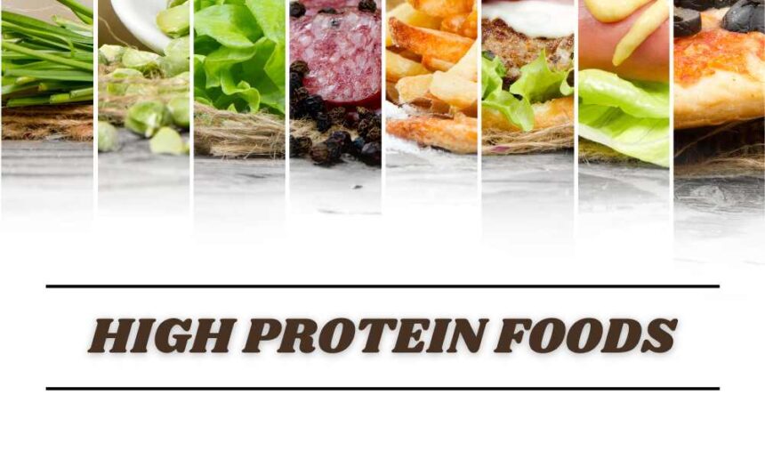 High Protein Foods for the Human Body