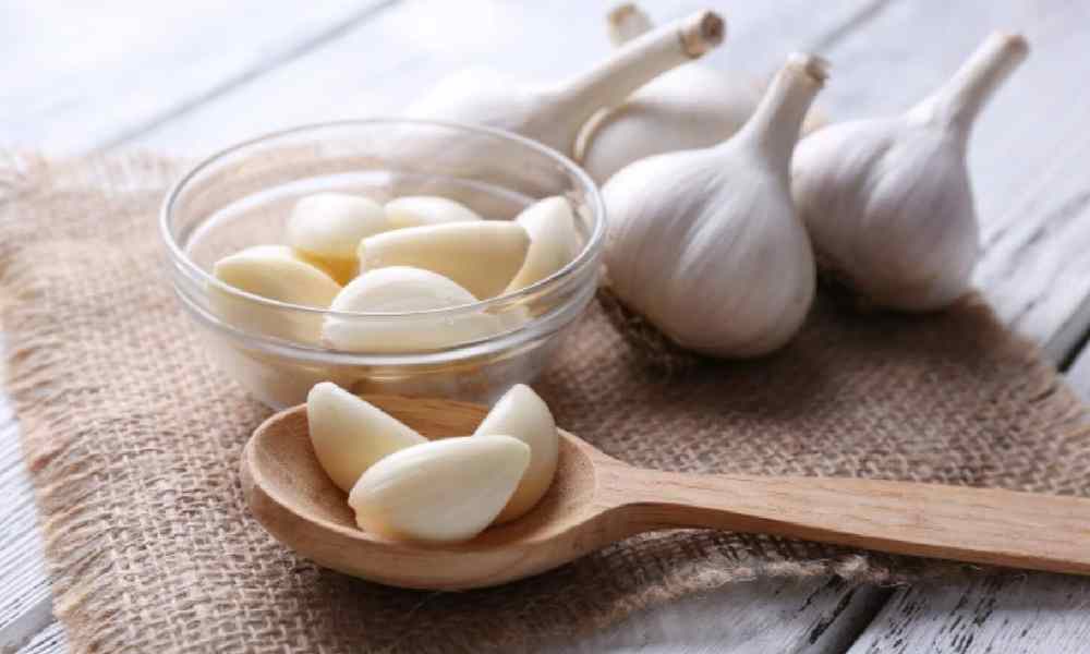 Read more about the article Top 5 Benefits Of Eating Garlic In Winter