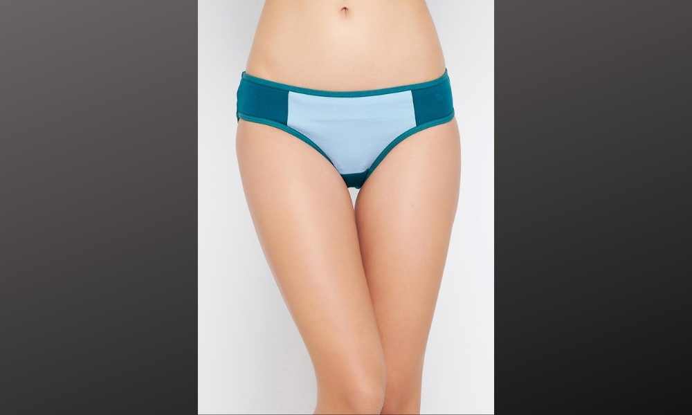 Color Block Bikini Panty