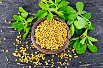 Fenugreek Seeds Benefits