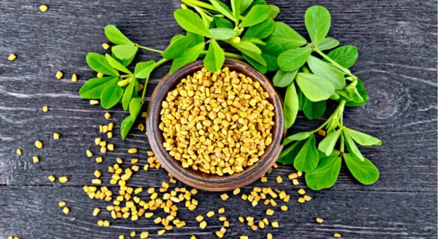 Fenugreek Seeds Benefits