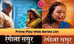 Read more about the article Prime Play Web Series List, Prime Play Star Cast