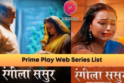 Prime Play Web Series Star Cast