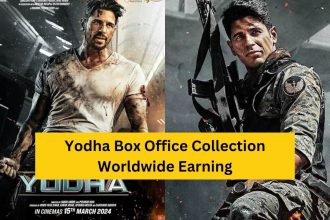 Box Office Collection