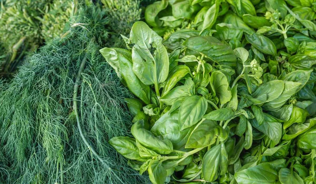 Consumption of green and leafy vegetables