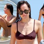 Dakota Johnson Bikini Photo