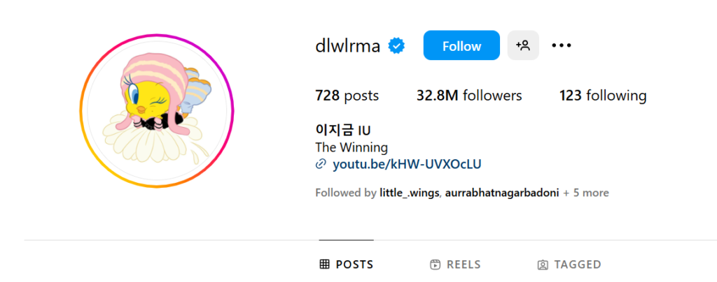 IU Most Followed Female Kpop Star